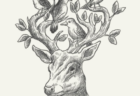 artist-course-07