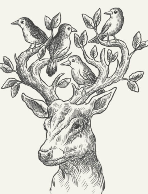 artist-course-07