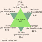 Soul Plan Chart_Trinh