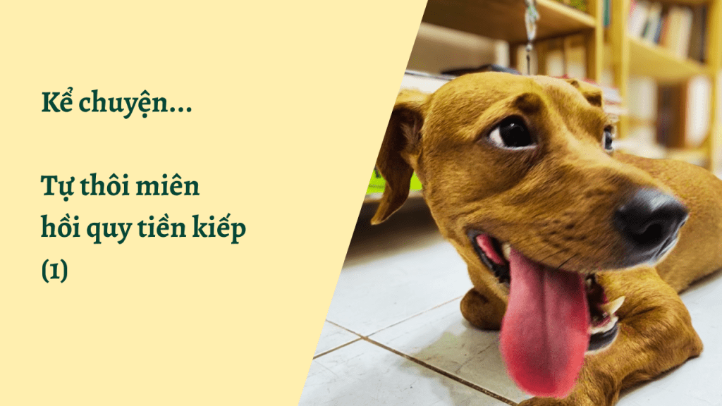 tự thôi miên hồi quy tiền kiếp, linh hồn, soul plan