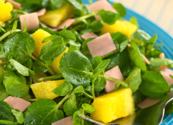 Đào tạo huấn luyện sức khoẻ cho công ty, health coach